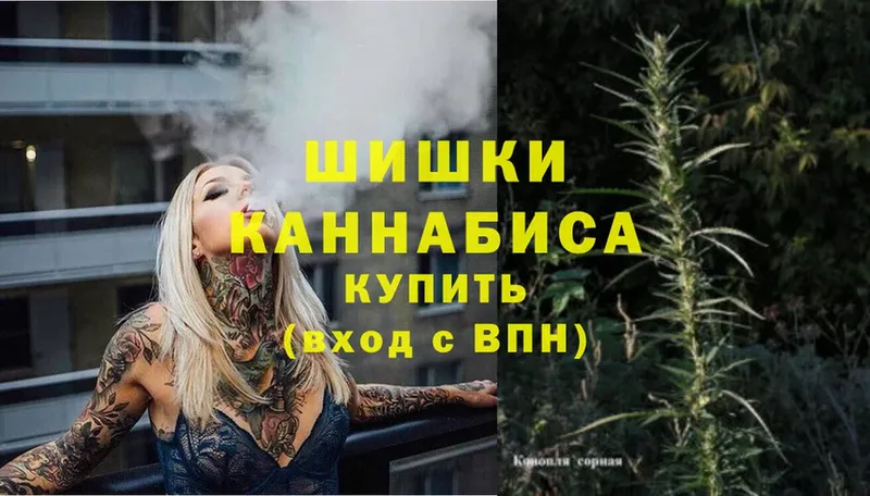 Конопля OG Kush  Курганинск 